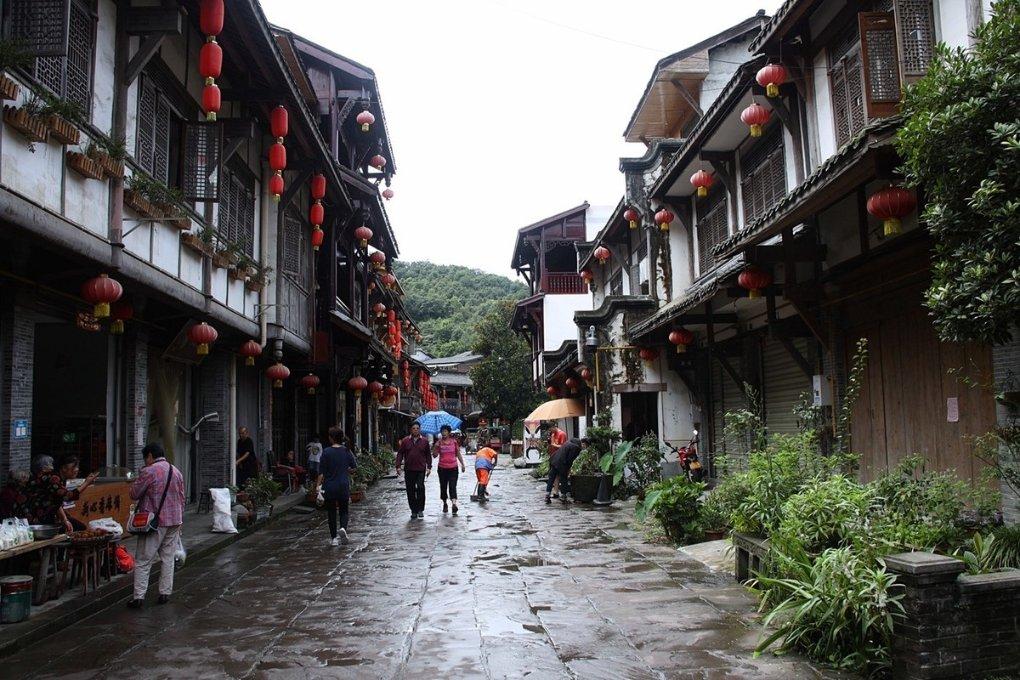 美妙森林找不同